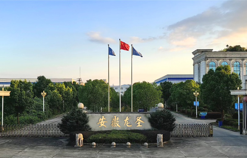 Anhui Longsheng บริษัท เทคโนโลยีวัสดุใหม่ จำกัด